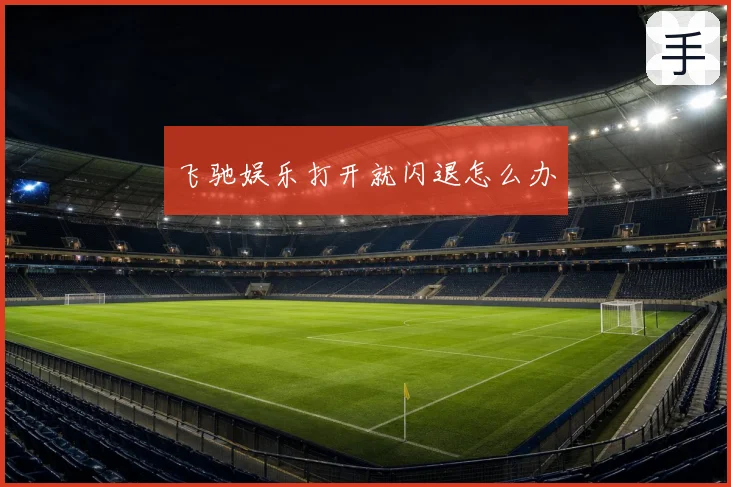 飞驰娱乐打开就闪退怎么办