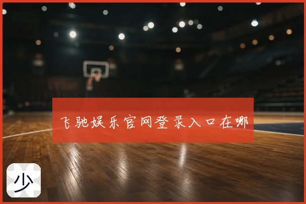 飞驰娱乐官网登录入口在哪