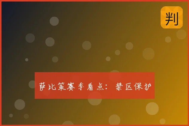 萨比策赛季看点:禁区保护